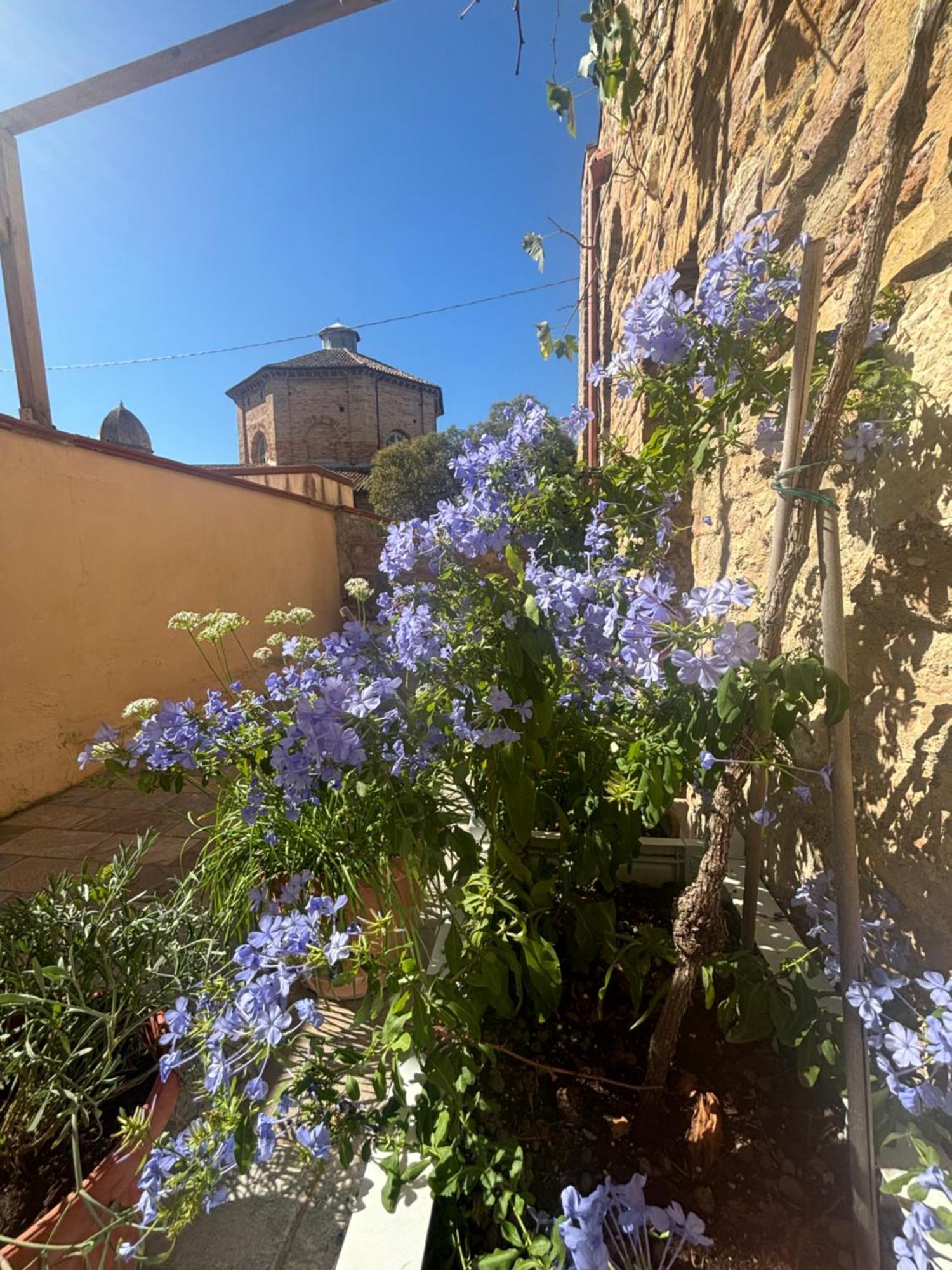Domus Mirabilis Homestay Ancona Exterior photo